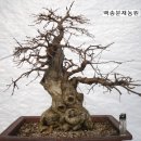 소사농원 이미지