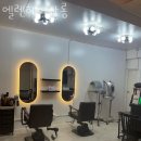 엘렌헤어 이미지