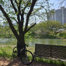 애자교 | 수원 자전거길 후기｜서호천~일월저수지 50km