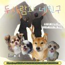 까까줄개 | 강아지 고단백 저지방 스트레스 해소용 수제간식 추천 - 여시까까 소우피닭안심말이