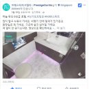 고릴라호텔 이미지