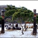 들풀식당 이미지