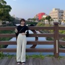 제주도에서 여름을 보내는 법