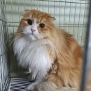 초량상로 이미지