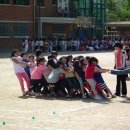 태릉초교 이미지