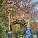 전북 정읍 내장산 서래봉(624m)을 서래탕방지원센터 에서 이미지