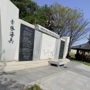 햇빛누리 | 파주 임진각 평화누리공원 나들이｜주차·텐트 명당·아이랑 놀기 좋은 곳 총정리