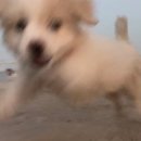 깜냥깜냥 - 창원시 진해구 | 깜냥깜냥