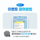 돌하루팡