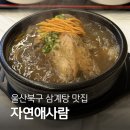 사람과바다 | 울산강동맛집 자연애사람 동해바다 뷰 메뉴 가격 주차 솔직후기
