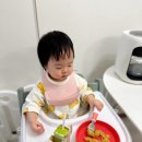 G4545 이미지