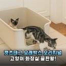 김재로묘입구 화장실 | 7kg 거묘도 넉넉한 캣츠태그 묘래박스 오리지널 대형묘 화장실 정착기