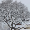 시골풍경 이미지