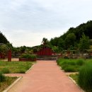 바다향기수목원(장미원) 티스토리