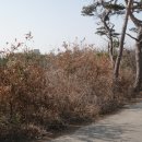 궁리 마을회관 이미지