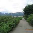 은평-045 이미지