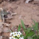 쉼터하우스 이미지