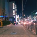브라질리언레이저 5회차 후기 (ft큐티의원)