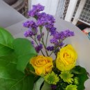 풀냄새꽃향기 이미지