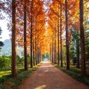 나주자원 이미지