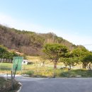 추부 추어탕거리 이미지