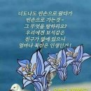 금투세 폐지와 천방지축 럭비공 트럼프는 어데로 이미지