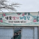 샘물농장 2 | 서울 근교 아이와 함께 하는 남양주 샘물딸기체험농장