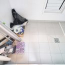 카렌시아워시 이미지