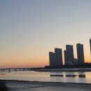 테라스타 이미지