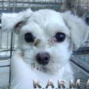 묵1동-021 이미지