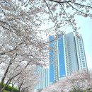 동삼지구대 이미지