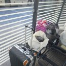 고항 공중화장실(버스터미널) | [체코 프라하#4] 뉘른베르크에서 프라하까지 플릭스버스로 이동한 후기(2층버스, 파노라마석)