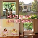 아이랑 민박 | 제주 남쪽 아이랑 숙소 소싯적 서귀포 귤밭 독채민박 후기