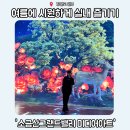 여름철 갓성비 실내 나들이! 원주 소금산 그랜드밸리 미디어아트 주말 솔직 후기