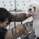 라인미용학원