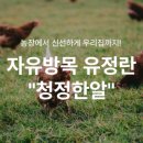 학가산계란