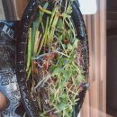 죽도김밥 본점 이미지