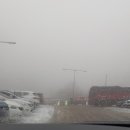 반곡목장 네이버블로그