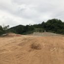 태성2 태양광 발전소 이미지