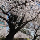 서창LH청아안아파트 이미지