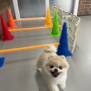 생글댕글 이미지