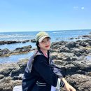 캐시조이 이미지