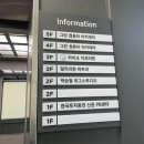신촌 라이크치과 사랑니 발치 내돈내산 후기(와 상세한 고통일지)