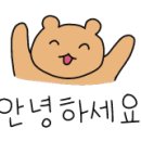 홍천체육관(실내) 이미지