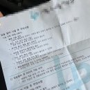 보라멍 | 내돈내산 입술필러 첫 경험 솔직 후기 ｜ 입술필러 전후차이, 붓기,멍,통증 공개📸