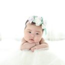 아이라임스튜디오