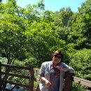 사랑나눔회 | 공주 마곡사 여행/홍성 남당항 대하축제 여행후기(사랑나눔회에서)