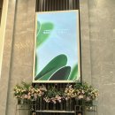 [W.10]웨스턴팰리스 본식드레스 셀렉 후기 + 부평 뷰티조에 메이크업 ✨