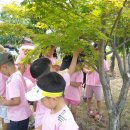 원당병설유치원 이미지