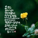 예수소망교회쉼터